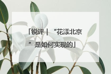 锐评｜“花漾北京”是如何实现的