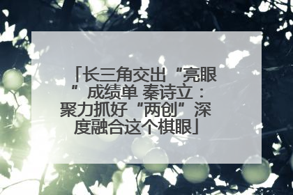 长三角交出“亮眼”成绩单 秦诗立：聚力抓好“两创”深度融合这个棋眼