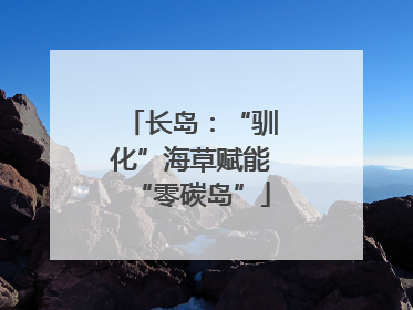 长岛：“驯化”海草赋能“零碳岛”
