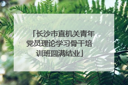 长沙市直机关青年党员理论学习骨干培训班圆满结业