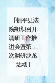镇平县法院组织召开调研工作推进会暨第二次调研沙龙活动