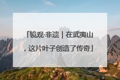 镜观·非遗｜在武夷山，这片叶子创造了传奇