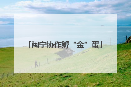 闽宁协作孵“金”蛋