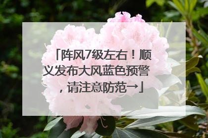阵风7级左右！顺义发布大风蓝色预警，请注意防范→