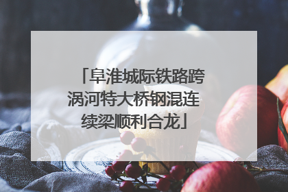 阜淮城际铁路跨涡河特大桥钢混连续梁顺利合龙