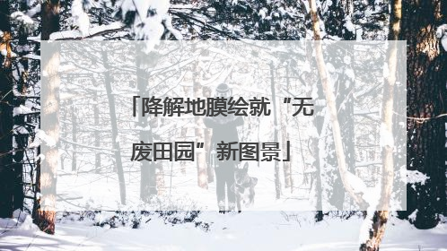 降解地膜绘就“无废田园”新图景