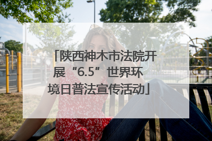 陕西神木市法院开展“6.5”世界环境日普法宣传活动