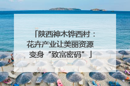 陕西神木铧西村：花卉产业让美丽资源变身“致富密码”