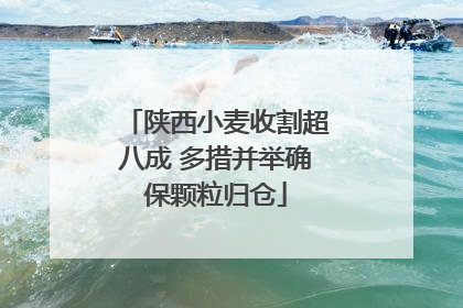 陕西小麦收割超八成 多措并举确保颗粒归仓