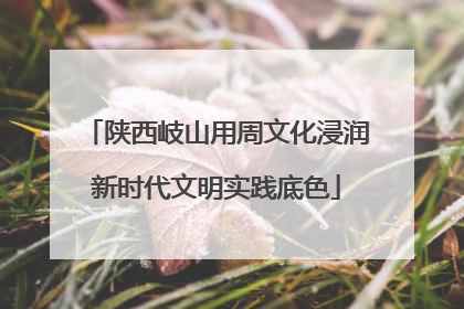 陕西岐山用周文化浸润新时代文明实践底色