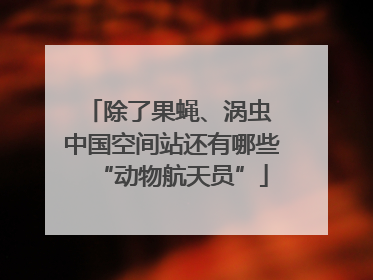 除了果蝇、涡虫 中国空间站还有哪些“动物航天员”