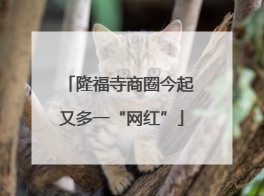 隆福寺商圈今起又多一“网红”