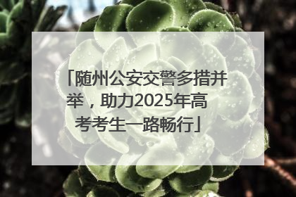 随州公安交警多措并举，助力2025年高考考生一路畅行