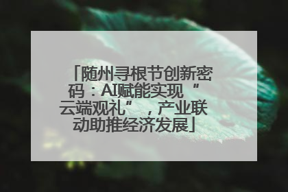 随州寻根节创新密码：AI赋能实现“云端观礼”，产业联动助推经济发展