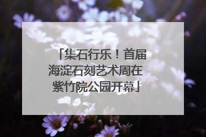 集石行乐！首届海淀石刻艺术周在紫竹院公园开幕