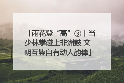 雨花登“高”③｜当少林拳碰上非洲鼓 文明互鉴自有动人韵律