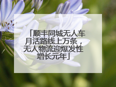 顺丰同城无人车月活路线上万条，无人物流迎爆发性增长元年