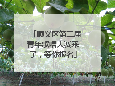 顺义区第二届青年歌唱大赛来了，等你报名