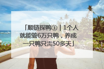 顺链探鸭③｜1个人就能管6万只鸭，养成一只鸭只需50多天