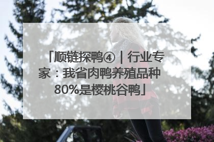 顺链探鸭④｜行业专家：我省肉鸭养殖品种80%是樱桃谷鸭