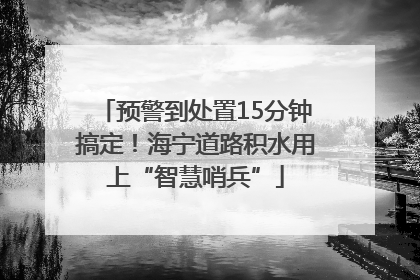 预警到处置15分钟搞定！海宁道路积水用上“智慧哨兵”