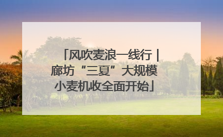 风吹麦浪一线行｜廊坊“三夏”大规模小麦机收全面开始