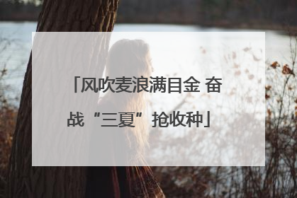 风吹麦浪满目金 奋战“三夏”抢收种
