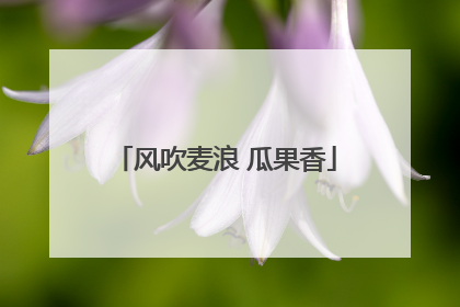 风吹麦浪 瓜果香