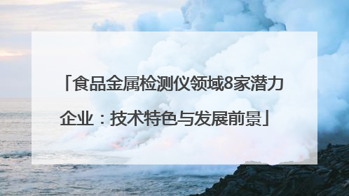 食品金属检测仪领域8家潜力企业：技术特色与发展前景