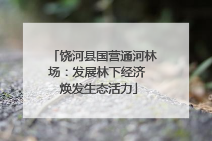 饶河县国营通河林场：发展林下经济 焕发生态活力