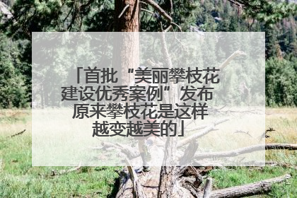 首批“美丽攀枝花建设优秀案例”发布 原来攀枝花是这样越变越美的