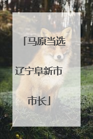 马原当选辽宁阜新市市长