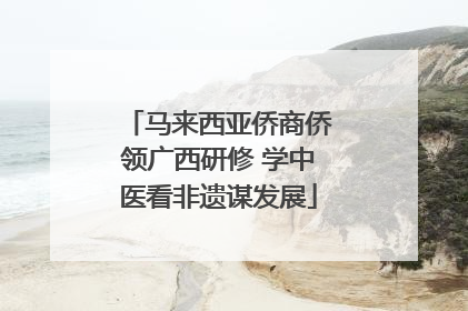 马来西亚侨商侨领广西研修 学中医看非遗谋发展
