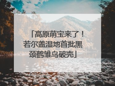 高原萌宝来了！若尔盖湿地首批黑颈鹤雏鸟破壳