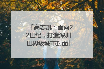 高志凯：面向22世纪，打造深圳世界级城市封面