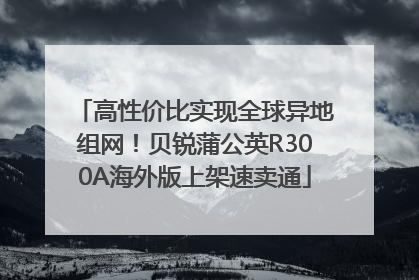 高性价比实现全球异地组网！贝锐蒲公英R300A海外版上架速卖通