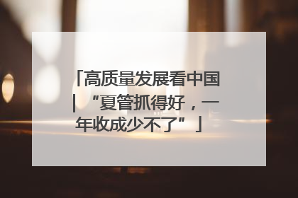 高质量发展看中国｜“夏管抓得好，一年收成少不了”