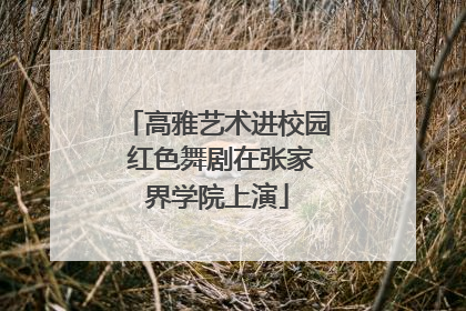 高雅艺术进校园 红色舞剧在张家界学院上演