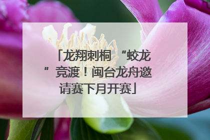 龙翔刺桐 “蛟龙”竞渡！闽台龙舟邀请赛下月开赛