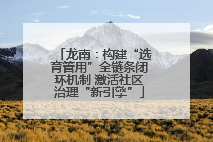 龙南：构建“选育管用”全链条闭环机制 激活社区治理“新引擎”