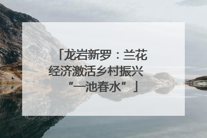 龙岩新罗：兰花经济激活乡村振兴“一池春水”