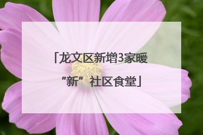 龙文区新增3家暖“新”社区食堂