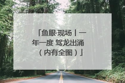 鱼眼·现场丨一年一度 驾龙出涌（内有全图）