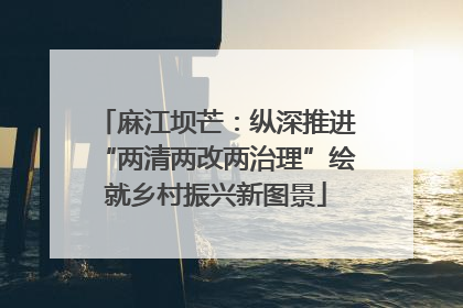 麻江坝芒：纵深推进“两清两改两治理”绘就乡村振兴新图景