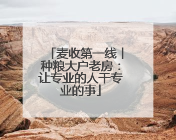 麦收第一线丨种粮大户老房：让专业的人干专业的事