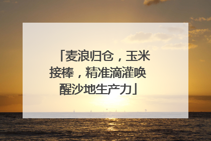 麦浪归仓，玉米接棒，精准滴灌唤醒沙地生产力