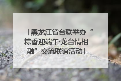 黑龙江省台联举办“粽香迎端午·龙台情相融”交流联谊活动