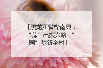 黑龙江省桦南县：“蒜”出振兴路 “园”梦新乡村