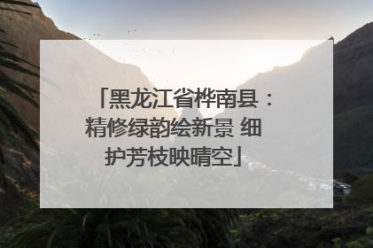 黑龙江省桦南县：精修绿韵绘新景 细护芳枝映晴空