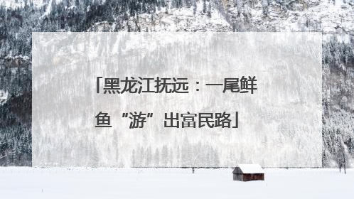 黑龙江抚远：一尾鲜鱼“游”出富民路